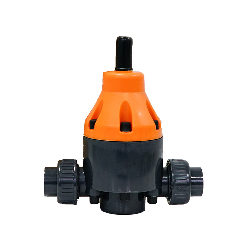 Safety/Back Pressure Valve