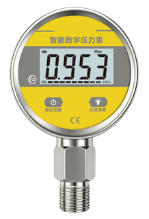 INTELLIGENT DIGITAL PRESSURE GAUGE MD-S260